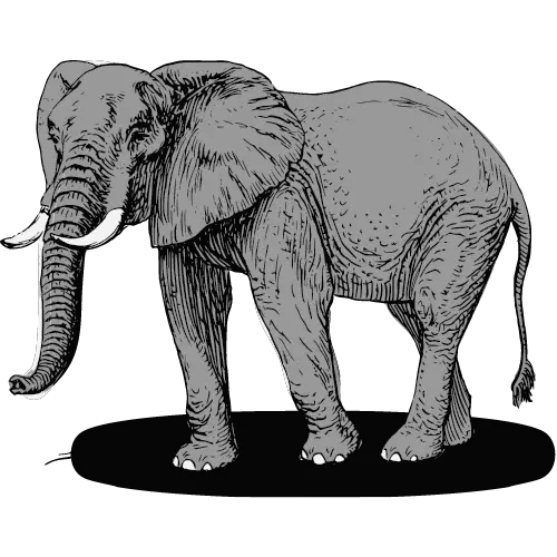 Elephant ID: 1635075428943 - Cut Ready SVG Gallery